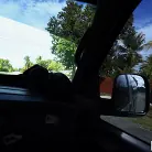 Alexis Avery in 'Good Ebony Pussy From This Bad Girlfriend'