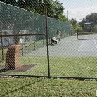 Alexis James in 'Alexis Rides The Bus'