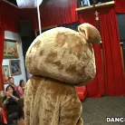 Amateurs in 'Crashing the club! Dancing Bear Style!'