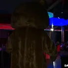 Amateurs in 'Party Animals!'