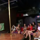 Amateurs in 'Party Party Party!!'