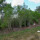 Angel Aurora in 'Valentine's Date on The Bus'