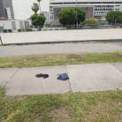 Anna Chambers in 'Wild Girl Twerks For a Ride'