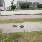 Anna Chambers in 'Wild Girl Twerks For a Ride'