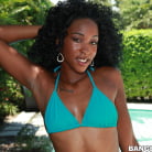 Asa of Spades in 'A brown bunny on speed'