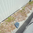 Bella Forbes in 'Indoor Nude Beach'