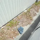 Bella Forbes in 'Indoor Nude Beach'