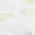 Bonnie Bun in 'Bonnie's Cleavage'