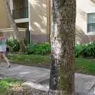 Brie Viano in 'Low Key Freak Fucks on The Bus'