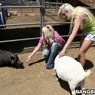 Britney Amber in 'Fuck Team Zoo Trip'