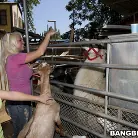 Britney Amber in 'Fuck Team Zoo Trip'