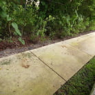 Brooke Ivory in 'The Bus Ends A Dry Spell'