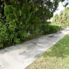 Chiara Chianti in 'Chiara in All Her Glory'