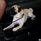 Coco Blue in 'Cute Blondie Gets Tricked on the Bus'