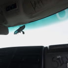 Daisy Bean in 'Daisy Gets Fucked on the Bus'