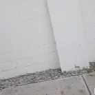 Dani Diaz in 'Cute Girl Gets Fucked For Cash'