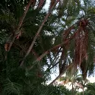 Eevee Luna in 'The Miami Experience'