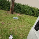 Evelyn Payne in 'Fucking Evelyn Hard'