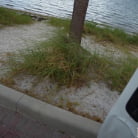 Gianna Ivy in 'Strippers Need Dick Not Money'