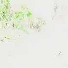 Gracie Gates in 'Thunder Fuck'