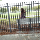 Gracie Mayy in 'Pantie Sniffing Money Grabber'