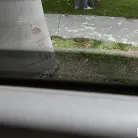 Graycee Baybee in 'Horny Chick Hops on The Bus'