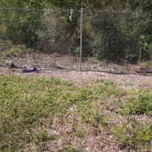 Harper Madison in 'Harper Loves Money and Anal'