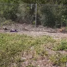 Harper Madison in 'Harper Loves Money and Anal'