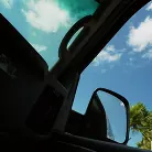 Harper Red in 'Does The Carpet Match the Dr**es'