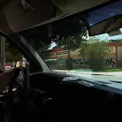 Jeleana in 'Grand Theft Canine'