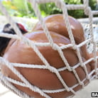 Jordyn Falls in 'Bootyful Summer Sex'