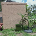 Julianna Vega in 'Julianna Vega Loves to Fuck in Public'