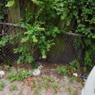 Lacy Tate in 'She Loves Good Meat'