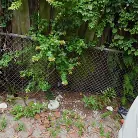 Lacy Tate in 'She Loves Good Meat'