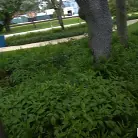 Lindsey Lakes in 'She's a Thrill Seeker'