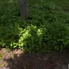 Lindsey Lakes in 'She's a Thrill Seeker'