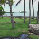 Michele James in 'Book Nerd Gets Fucked on The Bus'