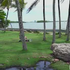 Michele James in 'Book Nerd Gets Fucked on The Bus'