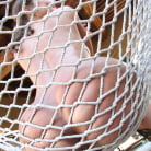 Olivia Wilder in 'Big white ass gets some black dick'