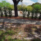 Penelope Kay in 'Hottie With Perfect Tits Fucks for Money'