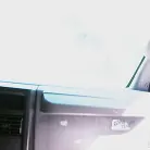 Riley Reign in 'If You Show Me Yours'