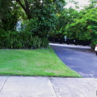 Riley Reign in 'If You Show Me Yours'