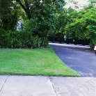 Riley Reign in 'If You Show Me Yours'