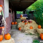 Rose Monroe in 'Pumpkin Booty Patch'