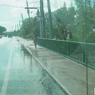 Sadie Creams in 'Big Booty Hottie Fucks on The Bus'