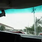 Shrooms Q in 'Shrooms Blooms on the Bus'