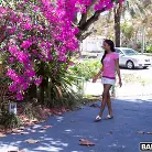 Sierra Sanchez in 'Insatiable Ebony'