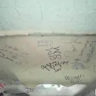 Slimthick Vic in 'Slimthick Vic Reverse Bus!'