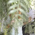 Sunny Lane in 'Brooklyn, Brynn Tyler and Sunny Lane are the Fast Food Team Five'