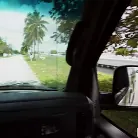 Sunshine Tampa in 'Fuck The Pussy Like A Champ'